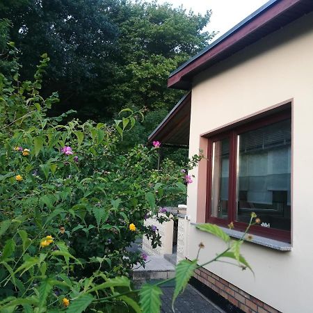 Ferienhaus Am Wald Loissin Экстерьер фото