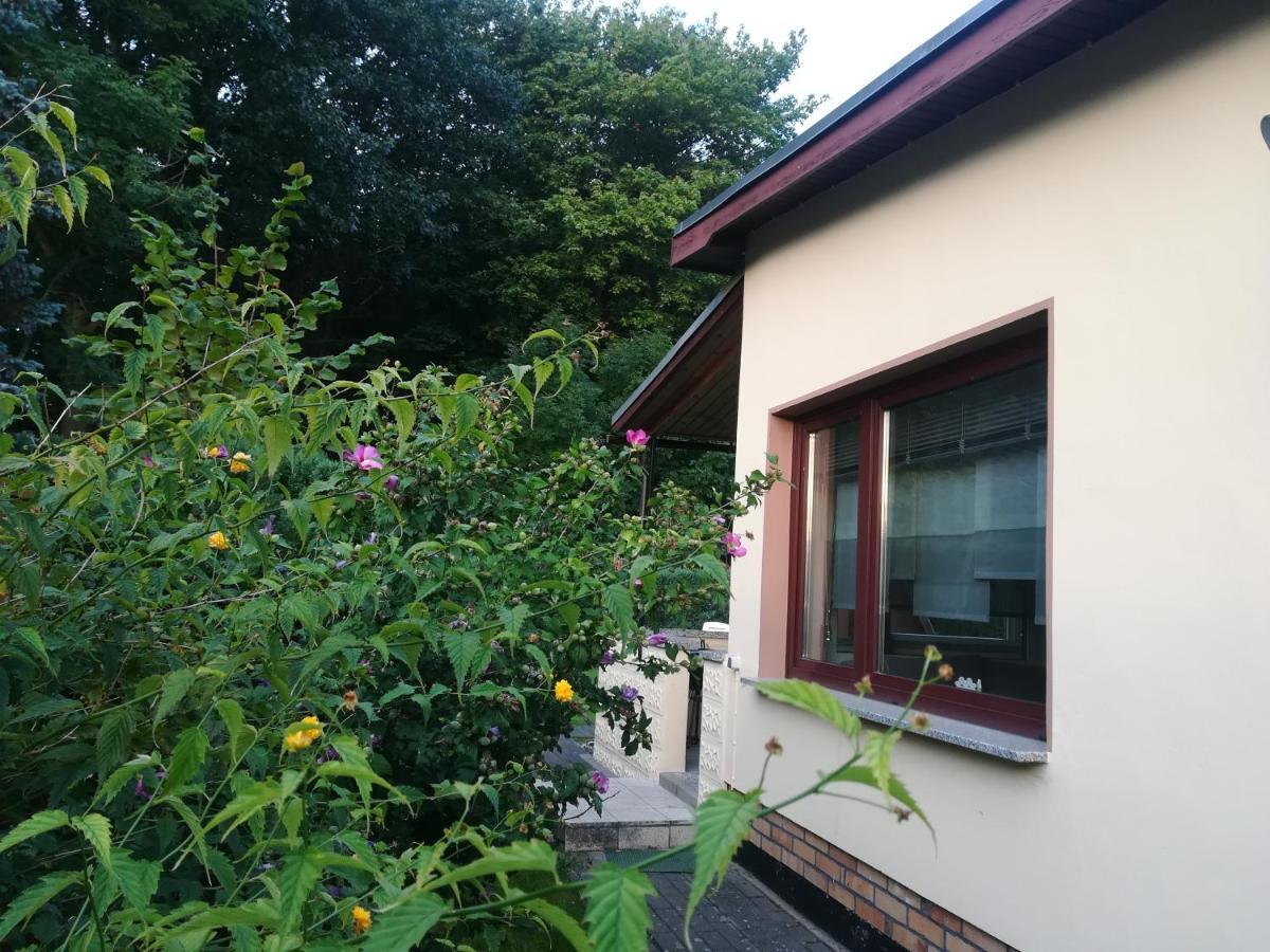 Ferienhaus Am Wald Loissin Экстерьер фото