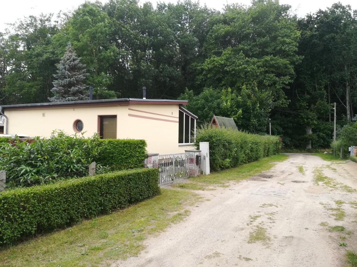 Ferienhaus Am Wald Loissin Экстерьер фото